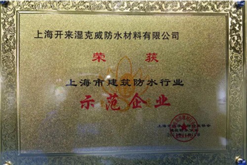 誠(chéng)實(shí)守信 務(wù)實(shí)創(chuàng)新 開來(lái)濕克威榮獲“示范企業(yè)”稱號(hào)